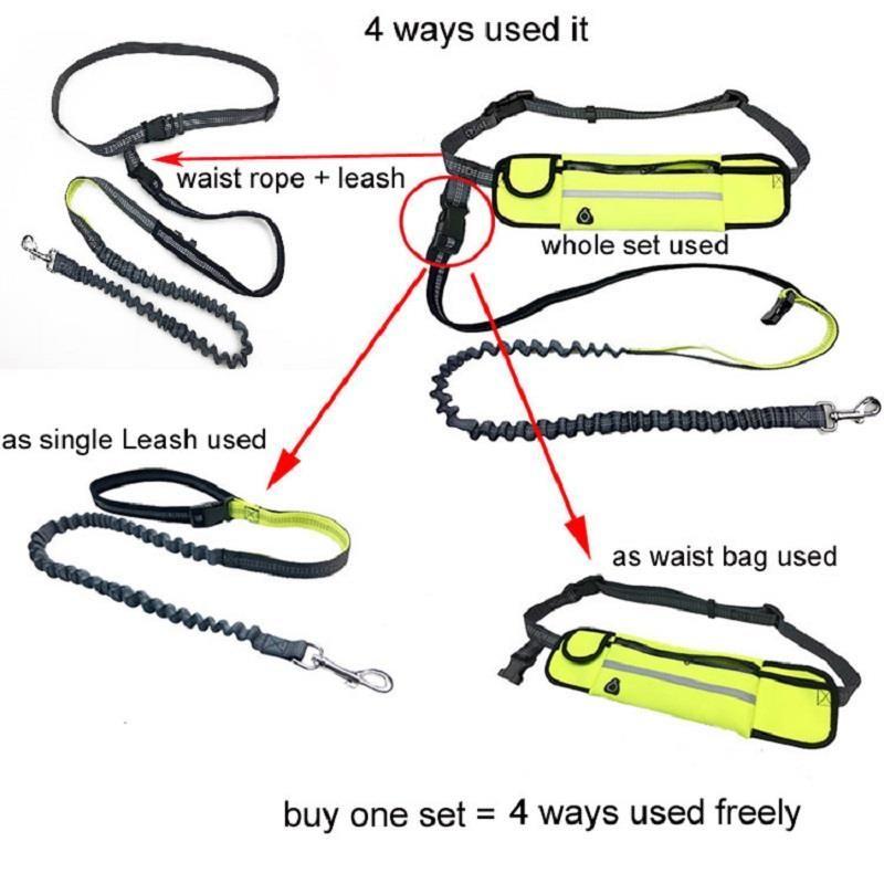 Leash with a hip belt for running with a dog - blue-yellow