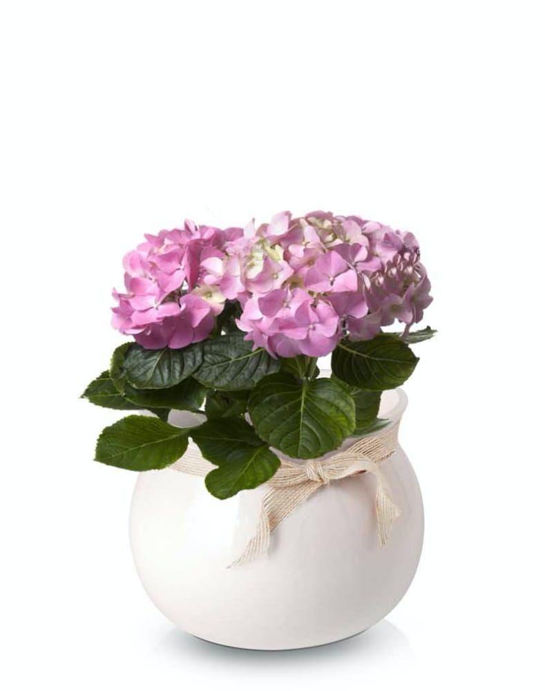 Ceramiczna donica / doniczka z wstążką - pudrowy róż- kolekcja LISBON