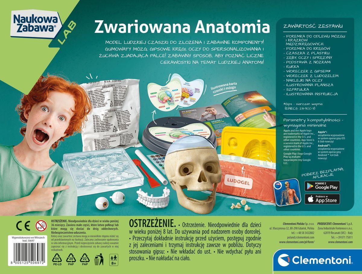 Clementoni, zestaw edukacyjny Anatomia