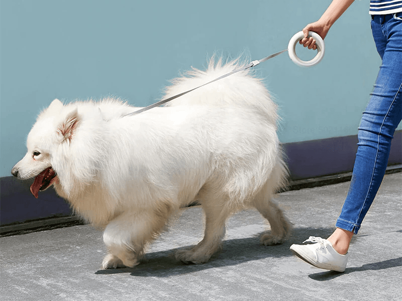 Retractable dog leash Xiaomi Mija Moestar UFO 2.6m