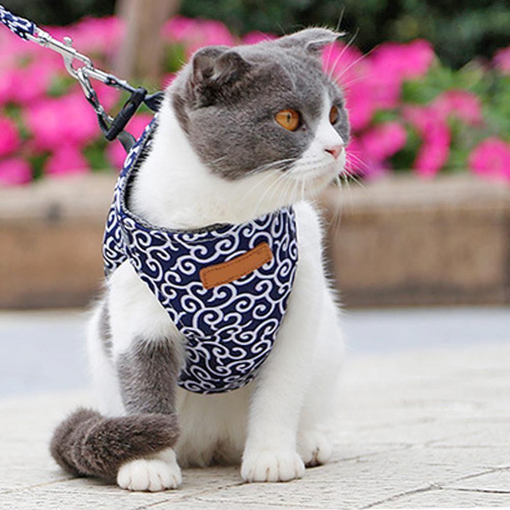Cat / Dog Harness - Blue, size XS