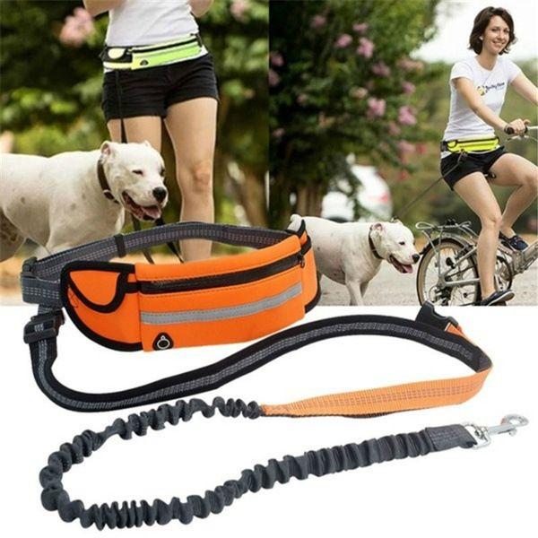 Leash with a hip belt for running with a dog - orange