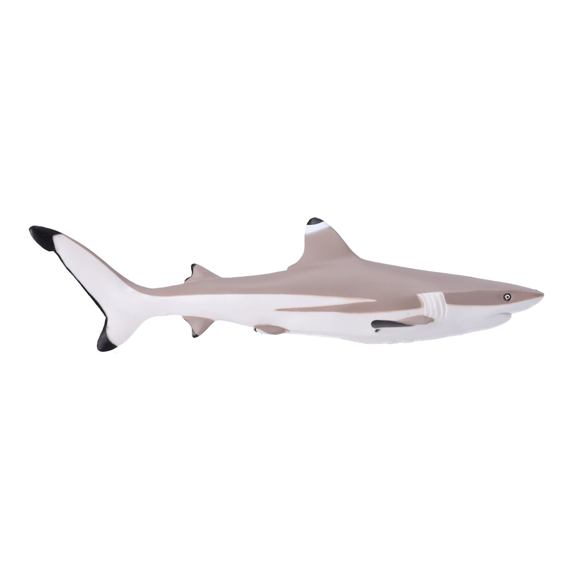 Collectible figurine Blackfin Reef Shark, Papo