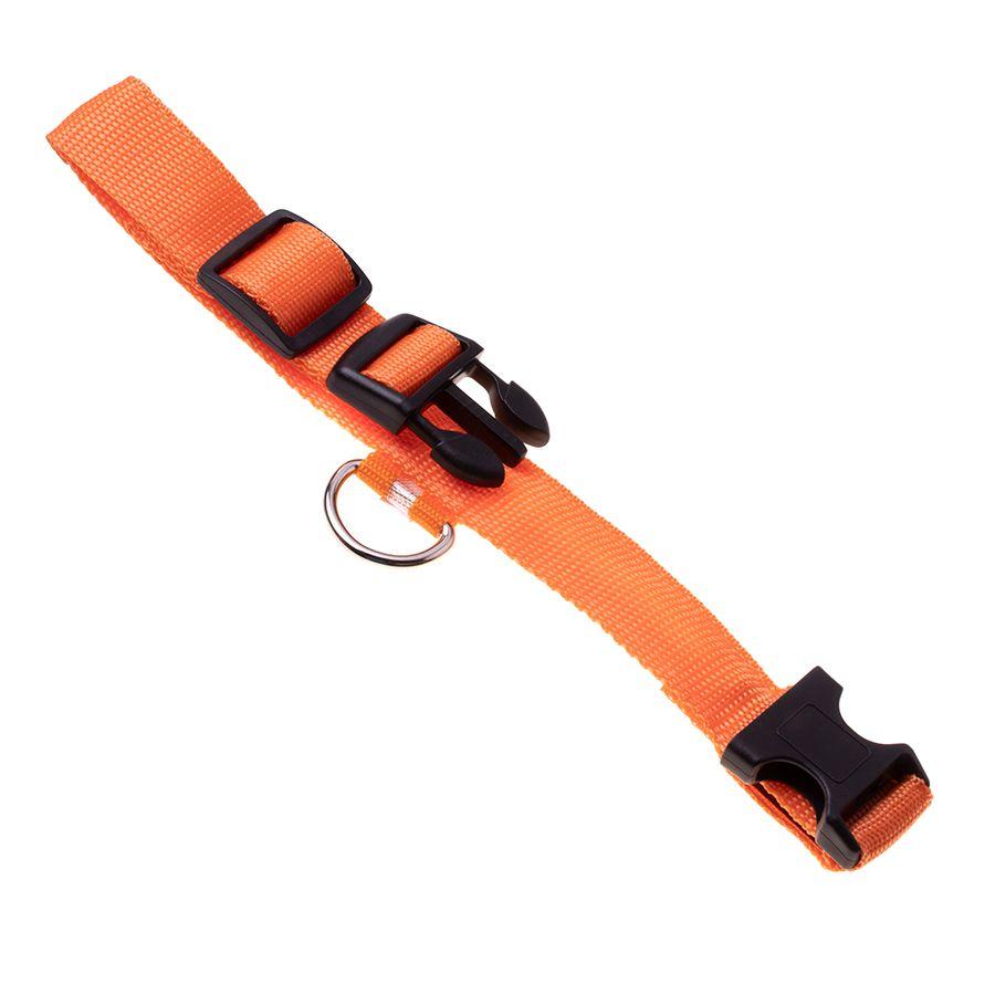 LED dog collar, size L - orange