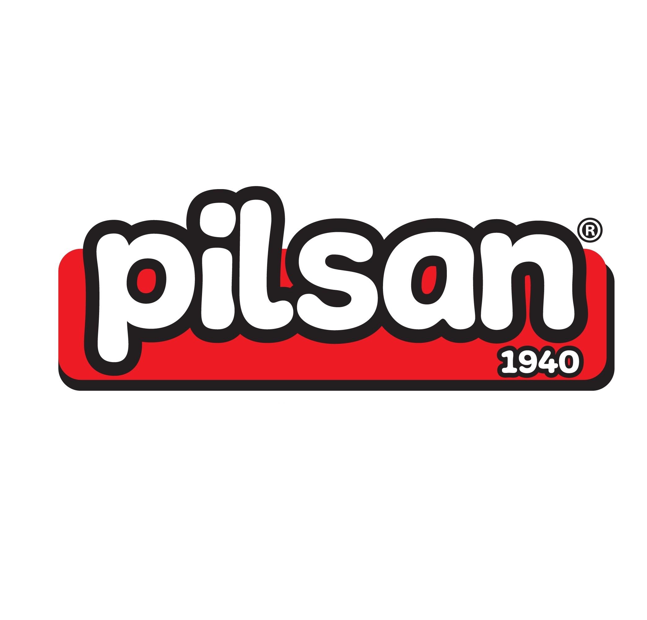 Pilsan 4-in-1 Ride-On Car, Sorter, Pusher, Walker - Pink