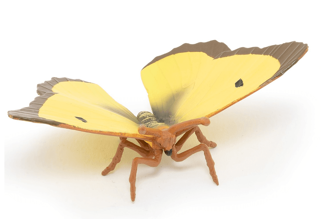 Collectible figurine Clouded yellow buttefly, Papo