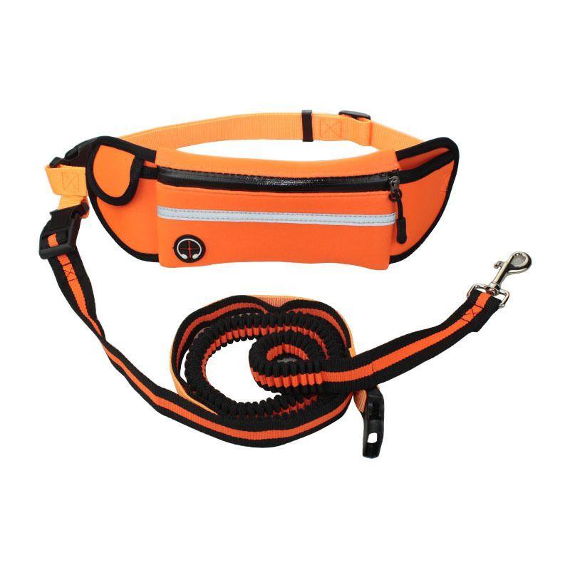 Leash with a hip belt for running with a dog - orange