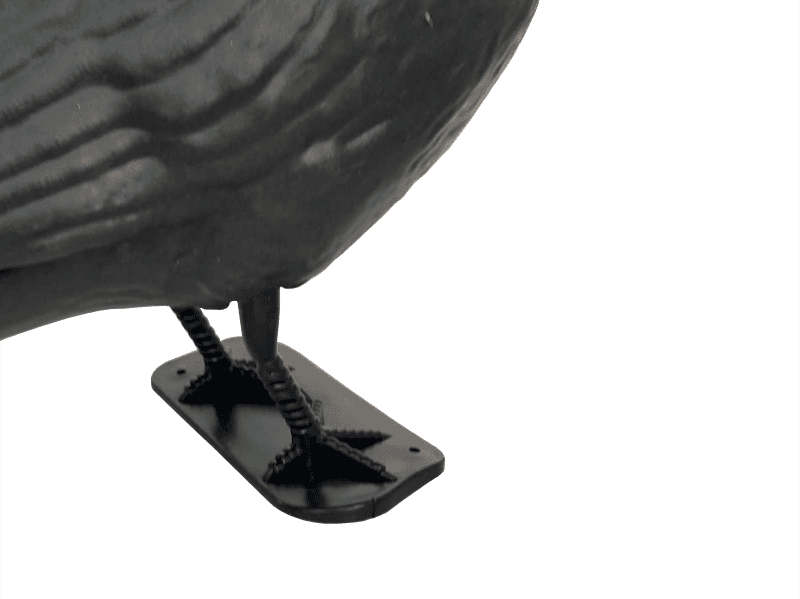 KRUK - Strach na gołębie, szpaki czy wróble
