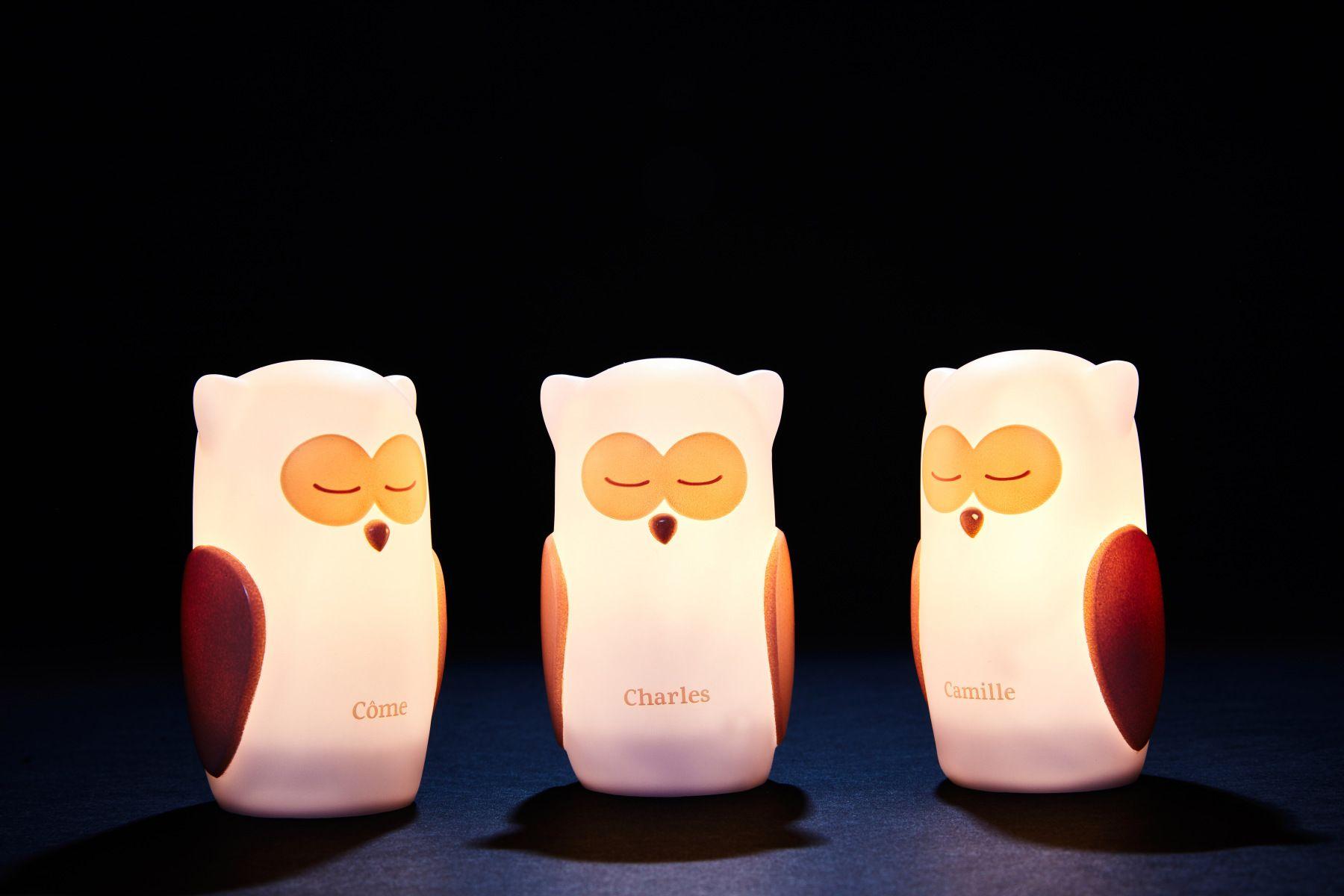Set of 3 LED night lights Olala - Owl, path of light