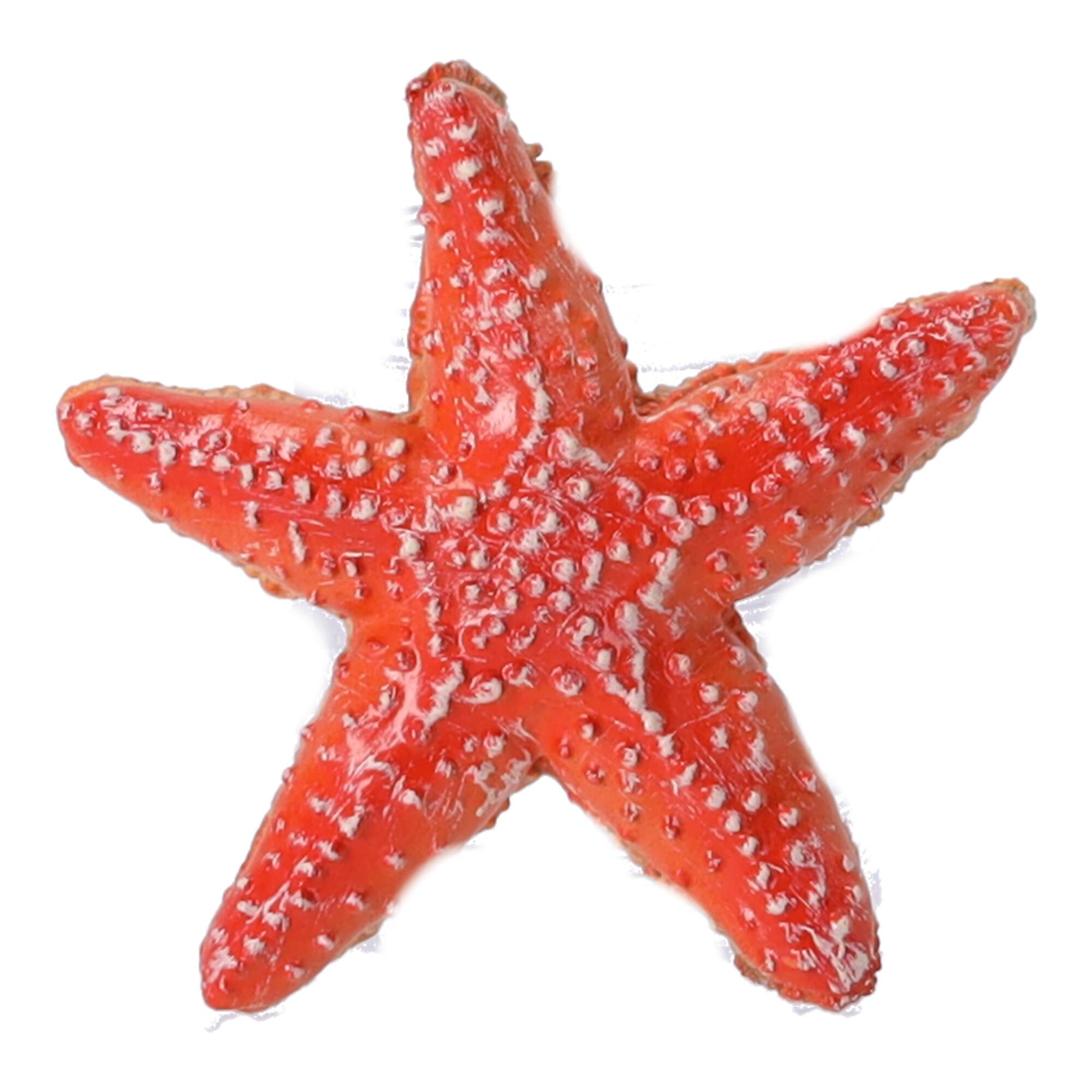Collectible figurine Starfish, Papo