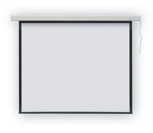 Ekran projekcyjny do zawieszenia na suficie lub ścianie 2x3 PROFI EEP3030R (ścienny; rozwijane elektrycznie; 301 x 301 cm; 1:1; 167,0")