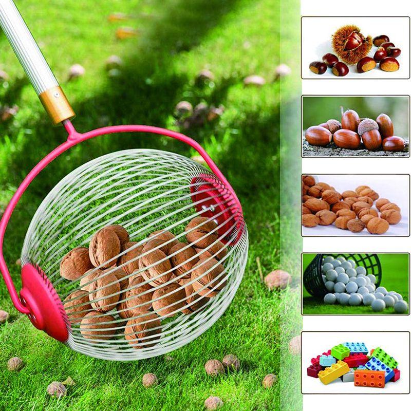 Fruit and nut collector - large