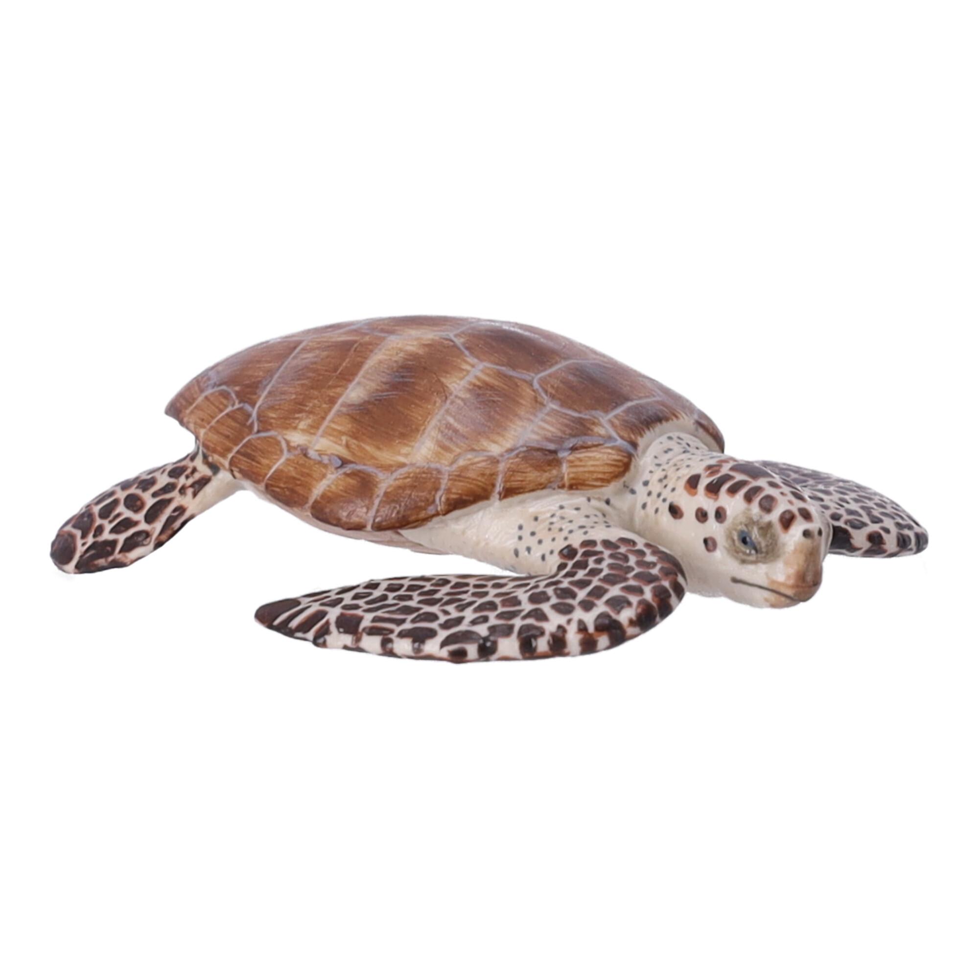 Collectible figurine Carriage turtle, Papo