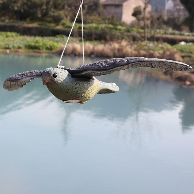 Effective bird repeller - falcon in flight