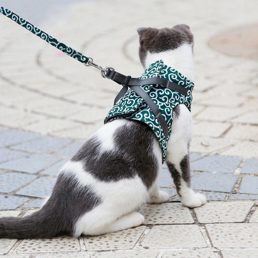 Harness with a leash for a cat / dog - Blue color, size S