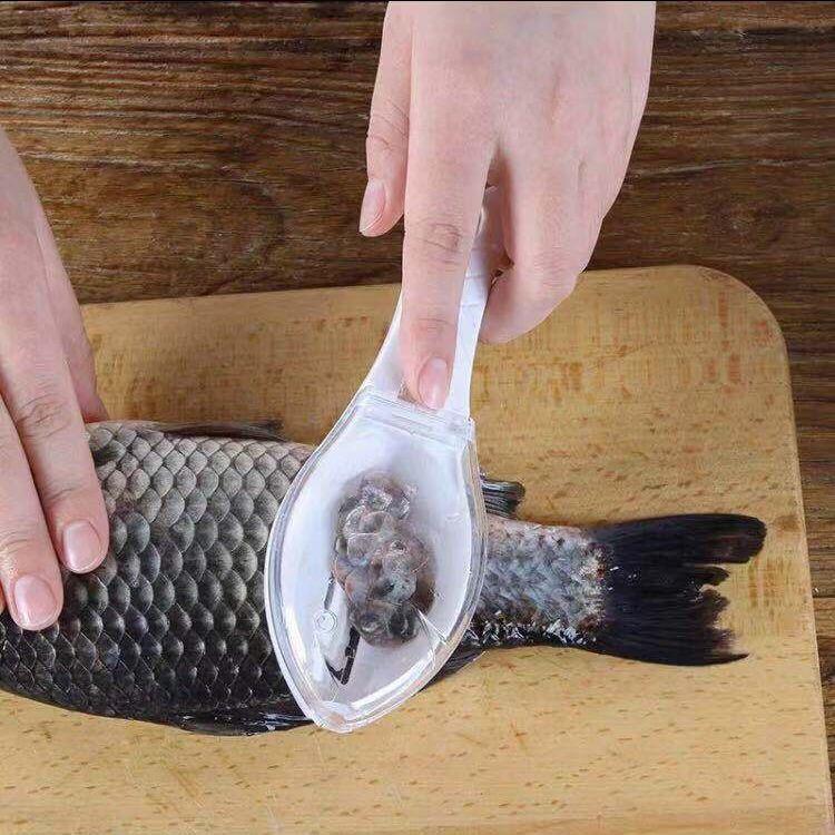 Fish Scraper Scraper Peeler