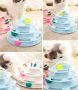 Interaktywna zabawka dla kota z piłkami - niebieska