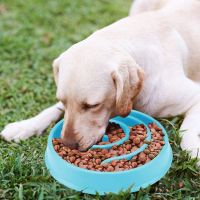 Miska spowalniająca jedzenie dla psa / kota - niebieska