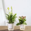 Samonawadniająca doniczka / donica do kwiatów i roślin- mała